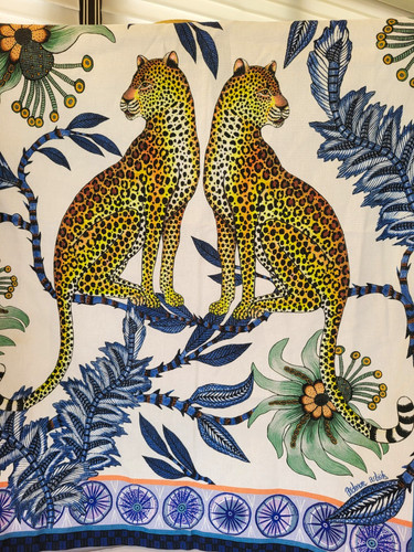 Ardmore lovebird leopards - ardmore,