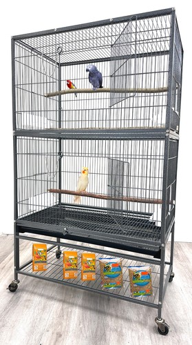 Xlarge bird flight - flight, parrot