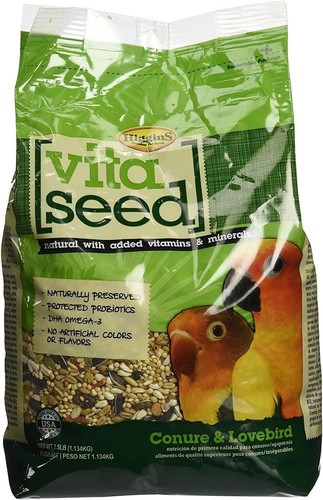 Higgins vita seed conure - vita, &