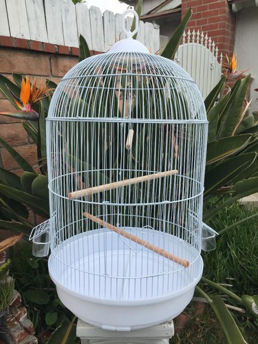 Round dome bird flight - 29",